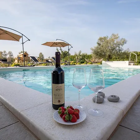 Villa Mattuzzi In Istria With Large Garden, Kids Playground And Whirlpool *